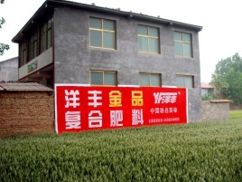  太仓如何让墙体广告展现最大化效果
