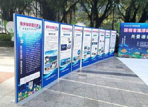  太仓KT板的种类和知识。